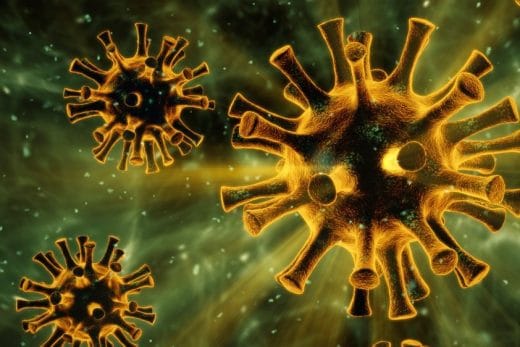 corona virüs varyasyonları